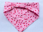 Dog bandanna for smaller 4 legged friends